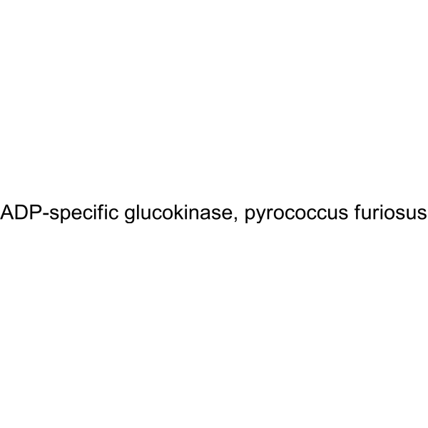 ADP-specific glucokinase, pyrococcus furiosus 173585-07-4